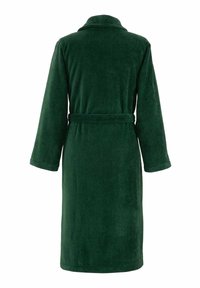 Accappatoio verde realizzato in morbido tessuto peloso. Caratterizzato da maniche lunghe, cintura in vita e colletto sciallato. La vista dal retro mostra una texture uniforme.