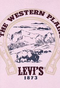 Tela rosa con una ilustración de un paisaje del oeste con bisontes, el texto "THE WESTERN PLAINS" en color burdeos y "LEVI'S 1873" debajo.