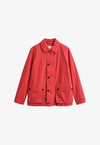 Sélectionné, rose red