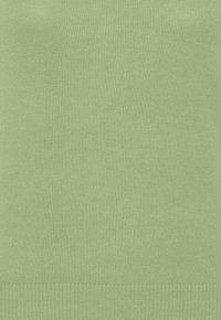 Lys grøn strikket sweater med en blød tekstur, ribbet kant og et simpelt design uden yderligere mønstre eller accenter.