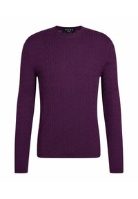 Maglione lavorato a maglia viola con colletto rotondo, caratterizzato da una texture a coste e un motivo a treccia. Le maniche lunghe e una vestibilità aderente completano il design.