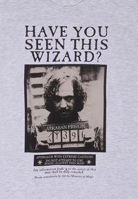 Harry Potter HARRY POTTER SIRIUS POSTER - T-shirt con stampa - heather grey
