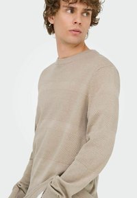 Beige Pullover mit strukturierten Mustern, Rundhalsausschnitt und langen Ärmeln, mit horizontalen Streifen und aus weicher, gestrickter Baumwolle.