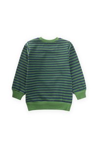 Sveter s dlhými rukávmi v kombinácii zelenej a námorníckej modrej farby so pruhmi, s elastickými manžetami a okrúhlym výstrihom. Vyrobený z jemného bavlneného materiálu, pohodlný strih, bez viditeľných log.