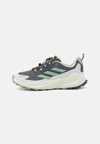 Adidas Terrex - NATIONAL GEOGRAPHIC TRAILMAKER 2.0 GORE-TEX® HIKING - Hiking shoes - carbon/silver green/orbit grey Thumbnail Image 1