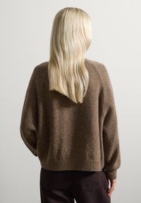 Maglione in maglia marrone con maniche raglan, polsini e orlo a coste. Tessuto morbido con una vestibilità leggermente ampia, visto di schiena.