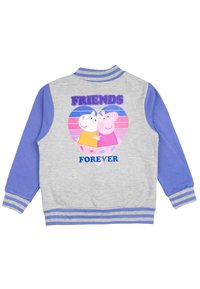 Felpa grigia con maniche blu, caratterizzata da una grafica a forma di cuore con due animali cartoon e il testo "AMICI PER SEMPRE" in blu e viola.