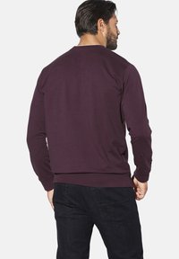 Maroon crewneck sweatshirt with long sleeves, ribbed cuffs and hem, and a smooth texture, paired with dark jeans. Rear view shown.