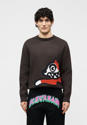 Jonge man met krullend haar draagt een donkerbruine trui met een gestileerde vos erop en zwarte broek met kleurrijke "ICECREAM" tekst.