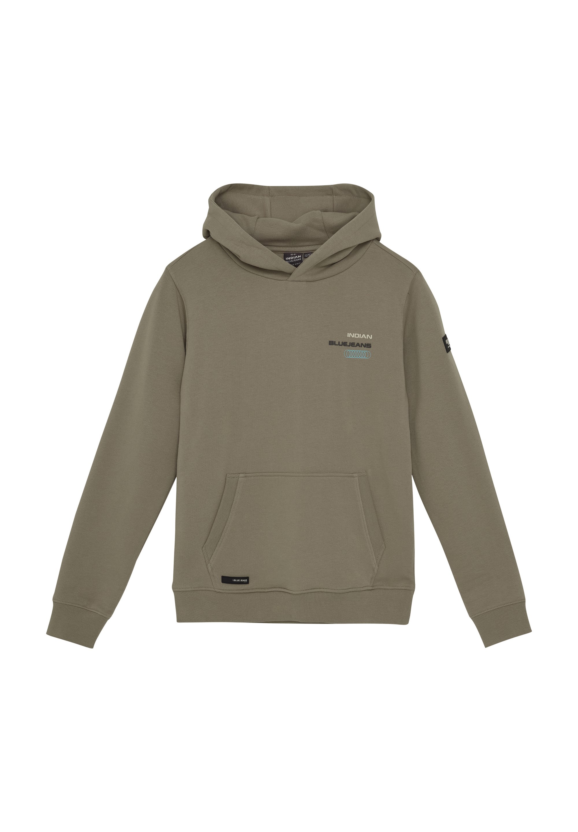 Indian Blue jeans BACKPRINT Hoodie timber wolf/green Zalando
