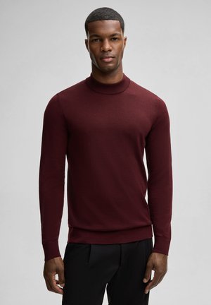 A man stands confidently, wearing a maroon sweater with a high collar, against a light gray background, showcasing a modern style.