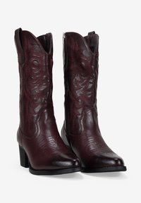 Botas de cowboy de cuero burdeos con costuras intrincadas, punta afilada, tacón bajo y detalle de cremallera lateral para un uso fácil.