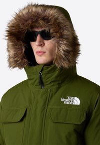 The North Face M MCMURDO BOMBER - Zimní bunda - woodland green