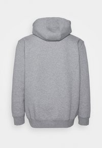 Tommy Hilfiger Felpa con cappuccio - light grey