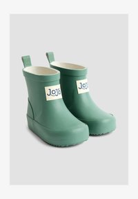 Neselectat, light green