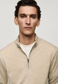 Beige zip-up sweater with a high collar, made of textured fabric, featuring a black zipper. Worn over a white crew neck shirt.