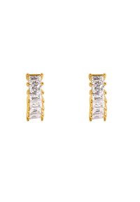 Pendientes en tono dorado con un diseño rectangular y piedras transparentes y brillantes dispuestas en una línea vertical. Los acentos texturizados realzan los detalles.