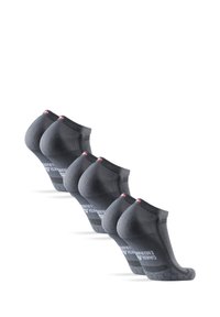 Danish Endurance LONG DISTANCE  3 PACK   - Calcetines tobilleros - grey