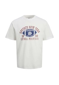 T-shirt en coton blanc avec un imprimé graphique. Le design comprend "UPSTATE NEW YORK" et "CATSKILL MOUNTAINS" en maroon et bleu. Manches courtes.