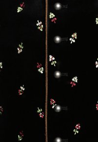 Schwarzer Samtstoff mit kleinen gestickten Blumenmustern in Rot, Grün und Weiß, mit auffälligen silbernen Knöpfen und einem braunen Rand.