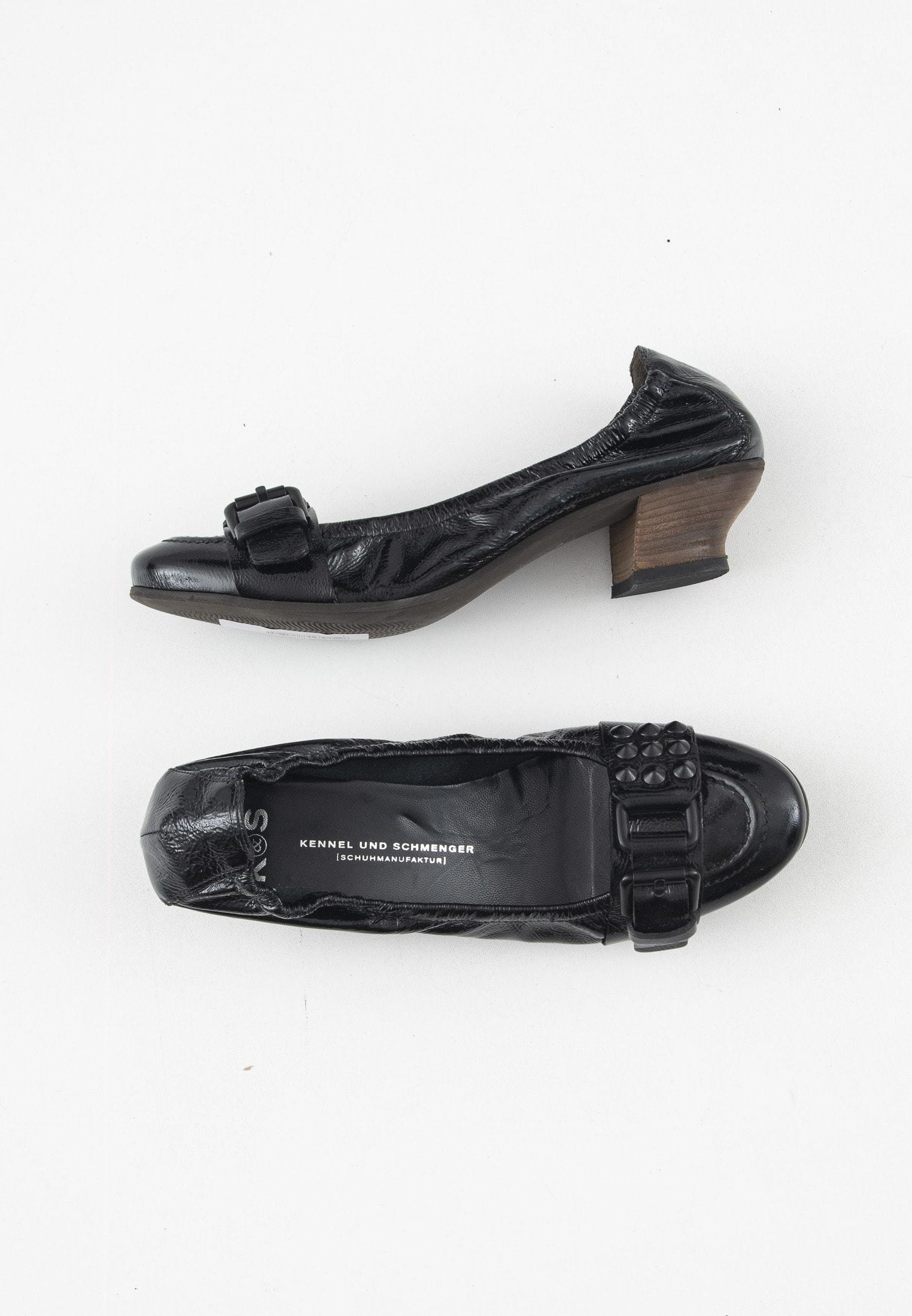 long haired dachshund wirehaired