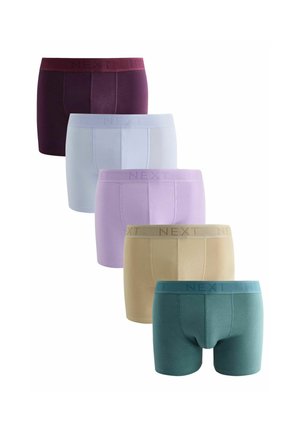 Fünf Paar Boxershorts in verschiedenen Farben: dunkles Burgunder, hellblau, Lavendel, beige und dunkel-türkis. Jede hat einen elastischen Bund mit Markenlogo.