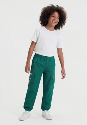 adidas Terrex MINECRAFT UNISEX - Pantalones deportivos - collegiate green