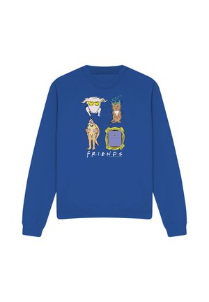 Blue sweatshirt with cartoon illustrations of a turkey, a cat, a dog, and a yellow picture frame with the word "FRIENDS" below.