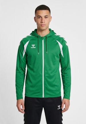Junger Mann trägt einen grünen Kapuzenpullover mit Reißverschluss und weißen Akzenten sowie schwarze Hose mit einem Sportmarkenlogo, steht vor neutralem Hintergrund.