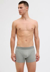 Sive moške bokser hlačke s prilegajočo zasnovo, elastičnim pasom z logotipom in gladko teksturo tkanine.