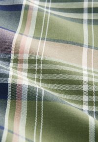 EASY OXFORD - Camisa - green madras