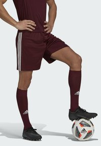 adidas Performance SQUADRA 21 SHORTS - Kurze Sporthose - red