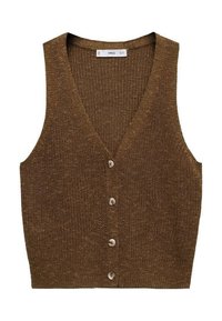 JAZMIN - Cardigan - brown