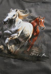 Next REGULAR FIT - HORSES OVERSIZED GRAPHIC  - Trükipildiga T-särk - charcoal grey