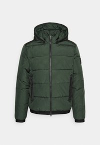 Veste d'hiver - green