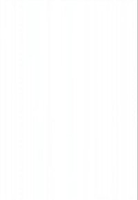 Tühi valge taust ilma eristatavate kujundite või omadusteta, esitades ühtlast pinda ilma mustrite või tekstuurideta.