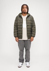 Grüne Steppjacke mit quiltierter Textur, Reißverschluss vorne und Kapuze. Helles T-Shirt darunter, graue Cargo-Hosen und weiße Sneaker.