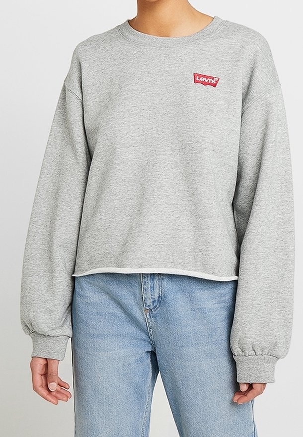 Grauer Sweatshirt aus weichem Stoff, mit Rundhalsausschnitt, überschnittenen Schultern und kleinem rotem Levi's-Logo auf der Brust.