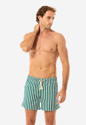 ALASSIO - Swimming shorts - green white stripes