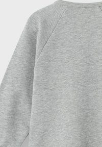 Felpa grigia chiara con un tessuto morbido e strutturato, maniche raglan e un classico scollo a giro. Senza decorazioni o motivi.