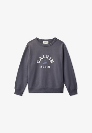 Felpa grigia con scollo a girocollo, con la scritta "CALVIN KLEIN" in bianco e un logo. Include polsini e orlo a costine. Tessuto morbido.