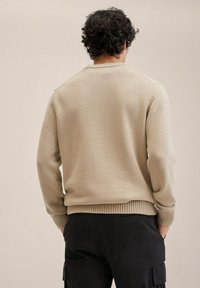 Beige gestrickter Pullover mit Rundhalsausschnitt, gerippten Bündchen und Saum sowie einer lockeren Passform, von hinten vor einem neutralen Hintergrund betrachtet.