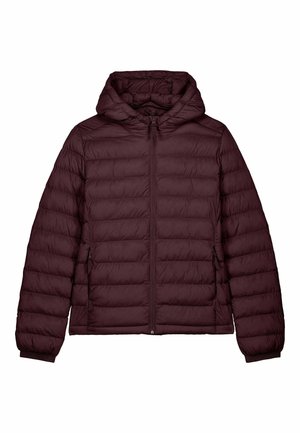BASIC LIGHT PADDED - Veste d'hiver - bordeaux