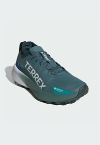 Scarpa da corsa da uomo in verde scuro con tomaia in mesh, marchio "TERREX" bianco, logo GORE-TEX e suola nera testurizzata per una migliore trazione.