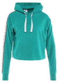 Champion Jersey con capucha - teal