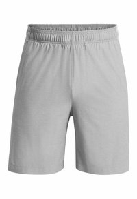 Under Armour Pantalón corto de deporte - grey