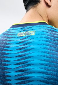 Vue arrière d'une personne portant un maillot de sport bleu avec des motifs noirs et "COLOMBIA" en jaune dans le haut du dos.