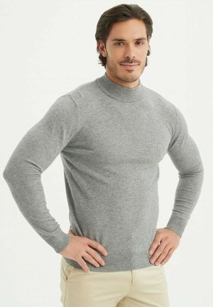 Pullover - gris