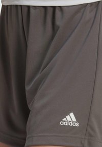 adidas Performance ENT22 SHO LW - Korte broeken - grey