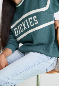 Dickies Jumper - dark green